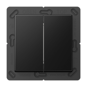 Friends of Hue radio transmitter 4-channel, A range, matt graphite black