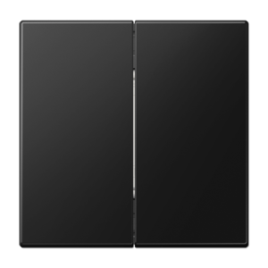 Friends of Hue radio transmitter 4-channel, LS range, matt graphite black