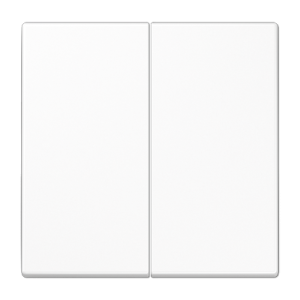 2-gang rocker for push-button 2-gang, F10, LS range
