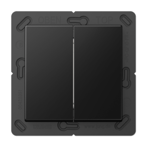 Friends of Hue radio transmitter 4-channel, A range, matt graphite black