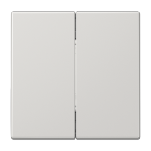 Friends of Hue radio transmitter 4-channel, LS range, light grey