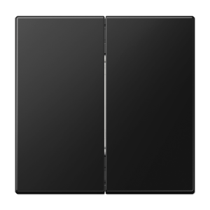 Friends of Hue radio transmitter 4-channel, LS range, matt graphite black