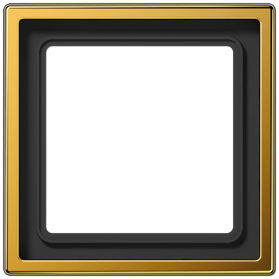 Frame LS990 Gold-plated
