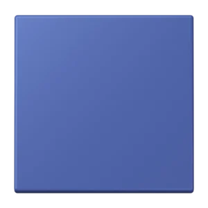 Bluetooth® Low Energy Wireless Wall Transmitter, 2-channel, ultramarine blue 31 (32020)