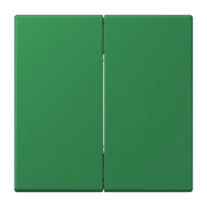 Bluetooth® Low Energy Wireless Wall Transmitter, 2-channel, dark green (32050)