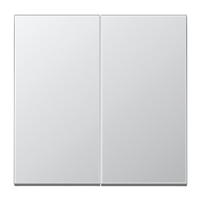 Rocker 2-gang, F10, LS range, aluminium