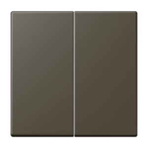 Rocker 2-gang, duroplastic lacquered, LS range, ombre naturelle 31 (32140)