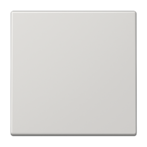 Rocker 1-gang, F10, duroplastic, LS range, light grey
