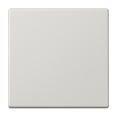 Rocker 1-gang, F10, duroplastic, LS range, light grey