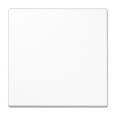 Rocker 1-gang, F10, duroplastic, LS range, white