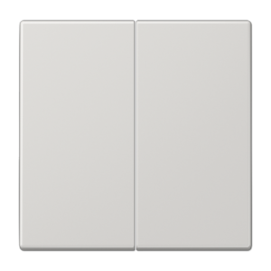 Rocker 2-gang, F10, duroplastic, LS range, light grey
