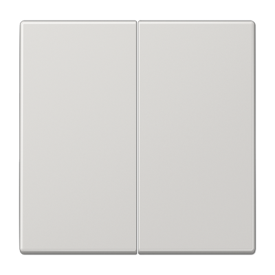 Rocker 2-gang, F10, duroplastic, LS range, light grey