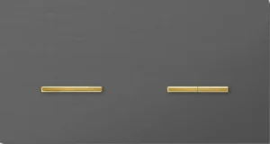 Basalte Chopin: Chopin - 2-gang horizontal - brushed volcanic grey - single lever & dual levers gold without LED
