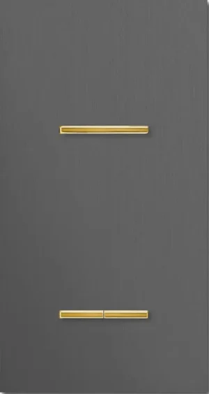 Basalte Chopin: Chopin - 2-gang vertical - brushed volcanic grey - single lever & dual levers gold without LED