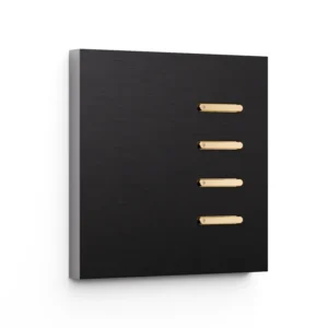 Basalte Matisse: Matisse KNX front - 1-gang - brushed black - 4 buttons - gold