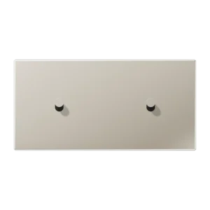 Centre plate with toggle lever "cone" 2-gang, 1 + 1 toggle levers, horizontal, LS 1912 range, stainless steel