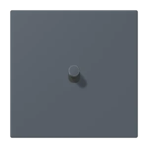 Centre plate with toggle lever "cylinder" 1-gang, 1 toggle lever, LS 1912 range, duroplastic lacquered, gris foncé 59 (4320U)