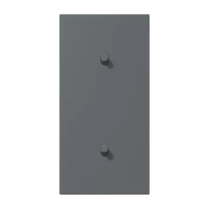 Centre plate with toggle lever "cylinder" 2-gang, 1 + 1 toggle levers, vertical, LS 1912 range, duroplastic lacquered, gris foncé 31 (32010)