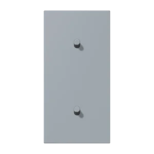 Centre plate with toggle lever "cylinder" 2-gang, 1 + 1 toggle levers, vertical, LS 1912 range, duroplastic lacquered, gris clair 59 (4320O)