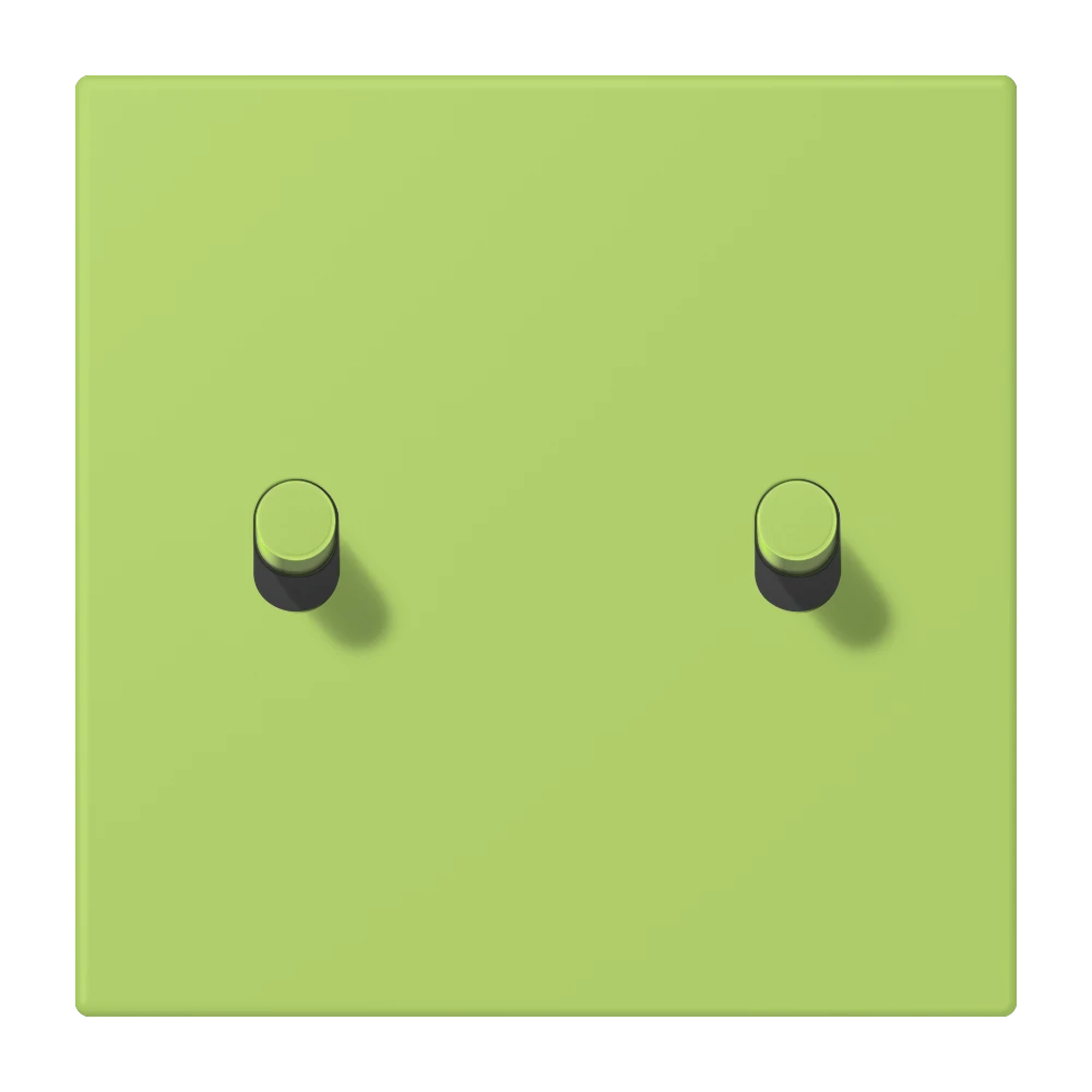 Centre plate with toggle lever "cylinder" 1-gang, 2 toggle levers, LS 1912 range, duroplastic lacquered, vert clair (32052)